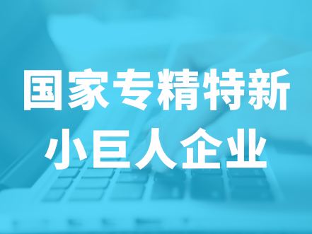 "专精特新”小巨人企业认定服务