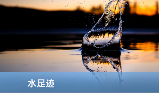 水足迹
