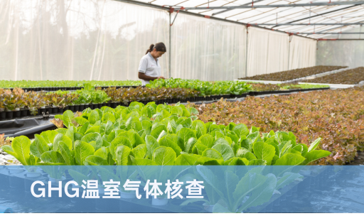 GHG温室气体核查